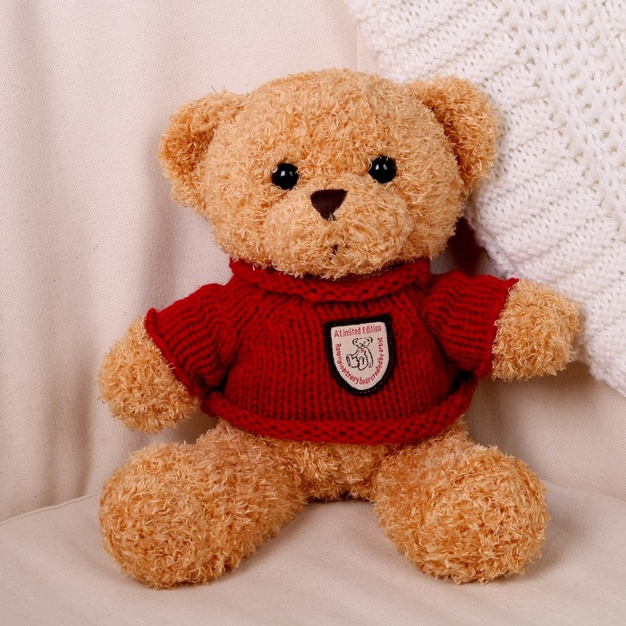 Мягкая игрушка «Медведь» в кофте, 28 см, цвет МИКС - фото 5 - id-p213428104
