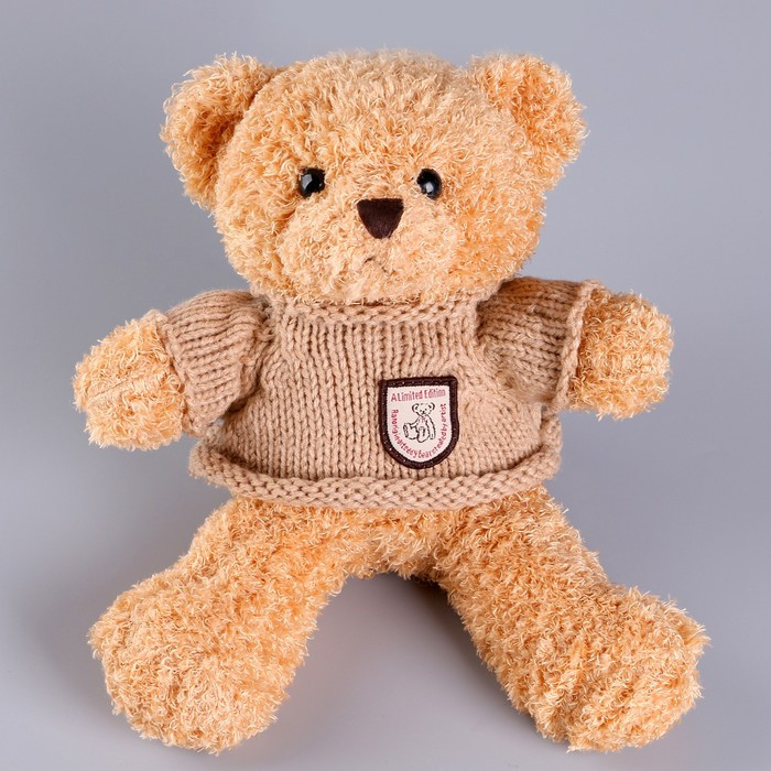 Мягкая игрушка «Медведь» в кофте, 28 см, цвет МИКС - фото 9 - id-p213428104