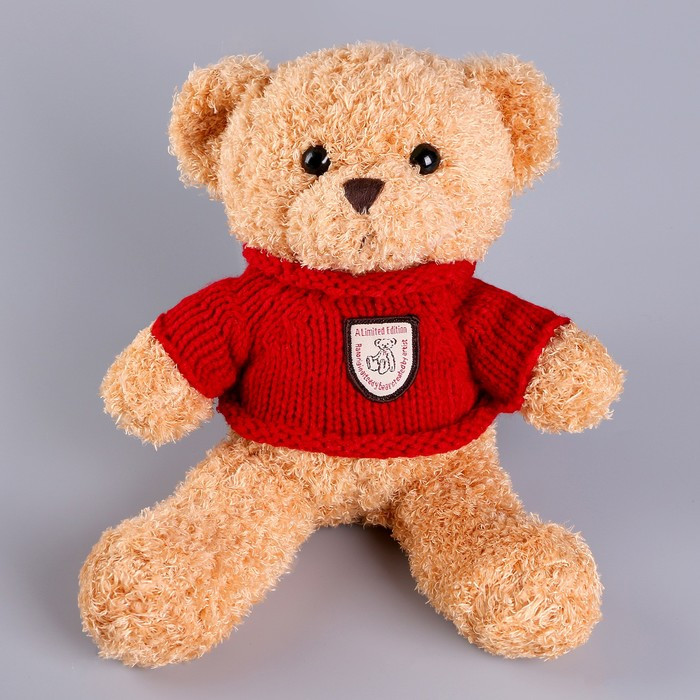 Мягкая игрушка «Медведь» в кофте, 28 см, цвет МИКС - фото 10 - id-p213428104