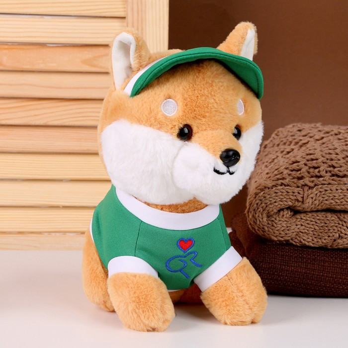 Мягкая игрушка «Собака» в зелёной кепке, 23 см - фото 1 - id-p213428105