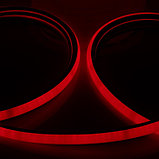 Гибкий неон Luazon Lighting 16 мм D-образный, IP65, 50 м, SMD2835, 120 LED/м, 220 В, свечение красное, фото 3