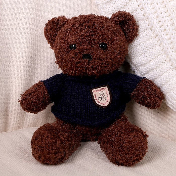 Мягкая игрушка «Медведь» в кофте, 28 см, цвет МИКС - фото 6 - id-p213427908
