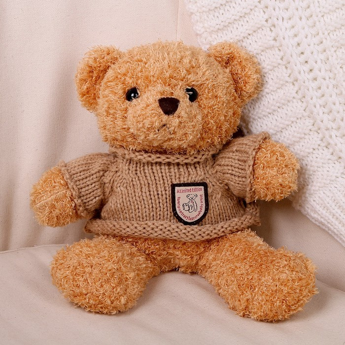 Мягкая игрушка «Медведь» в кофте, 28 см, цвет МИКС - фото 7 - id-p213427908