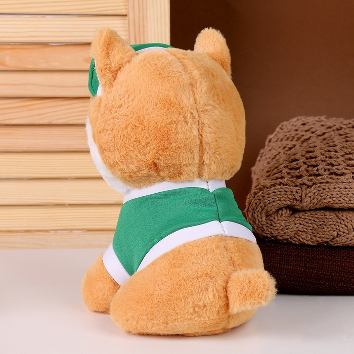 Мягкая игрушка «Собака» в зелёной кепке, 23 см - фото 3 - id-p213427909