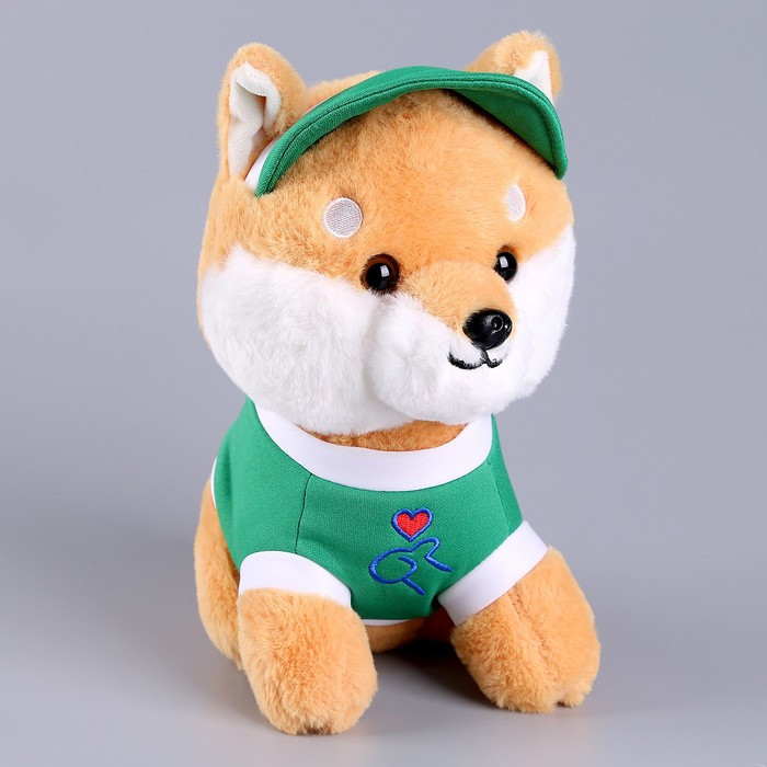 Мягкая игрушка «Собака» в зелёной кепке, 23 см - фото 4 - id-p213427909