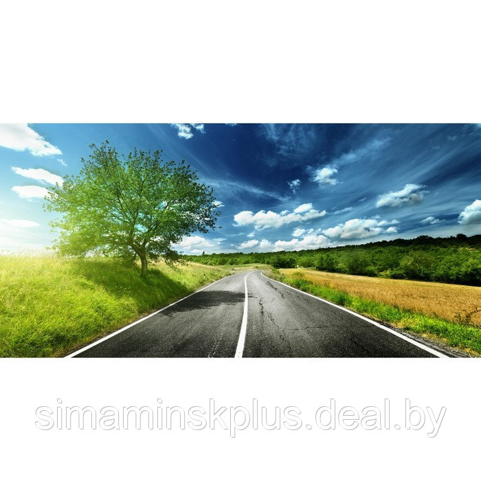 Фотосетка, 320 × 155 см, с фотопечатью, «Дорога в Тоскане» - фото 1 - id-p213430318