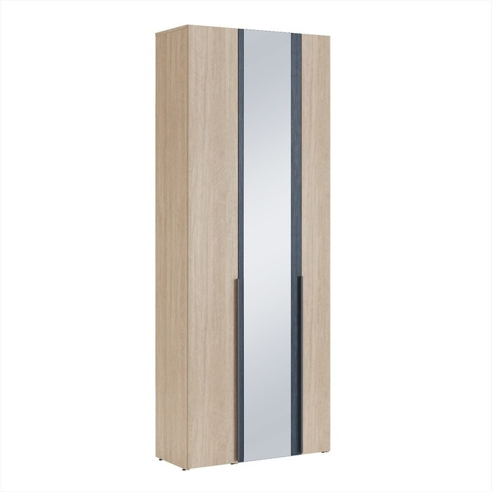 Шкаф трёхдверный «Палермо №5», 900×405×2350 мм, с зеркалом, цвет палермо / рейн морион - фото 1 - id-p213432113