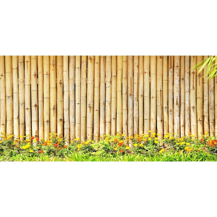Фотосетка, 320 × 155 см, с фотопечатью, «Бамбуковый забор» - фото 1 - id-p213433206