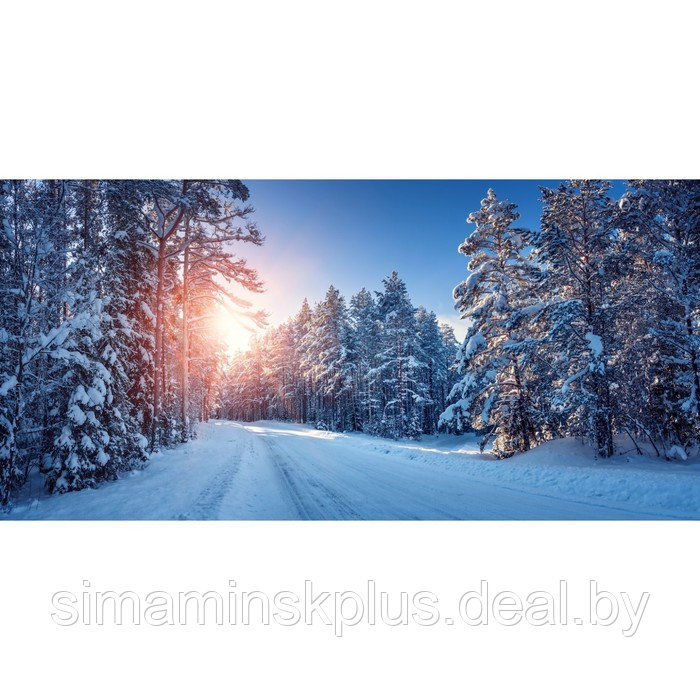 Фотосетка, 320 × 155 см, с фотопечатью, «Зимняя дорога» - фото 1 - id-p213430402