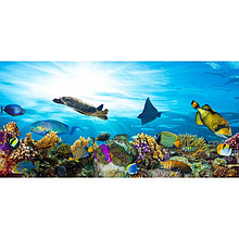 Фотосетка, 320 × 155 см, с фотопечатью, «Океанариум»