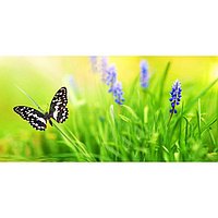 Фотосетка, 320 × 155 см, с фотопечатью, «Бабочка в траве»