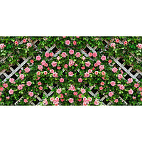 Фотосетка, 314 × 155 см, с фотопечатью, люверсы шаг 0.3 м, «Розы на шпалере»