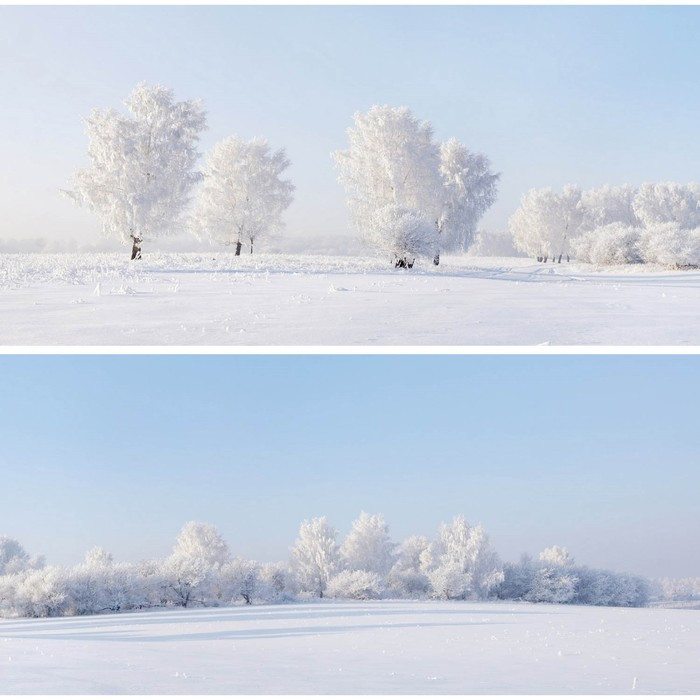 Фотосетка, из двух полотен по 320 × 155 см, с фотопечатью, «Зимние просторы» - фото 1 - id-p213433493
