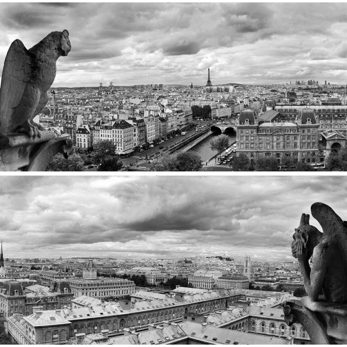 Фотосетка, из двух полотен по 320 × 155 см, с фотопечатью, «Вид на Париж» - фото 1 - id-p213433495