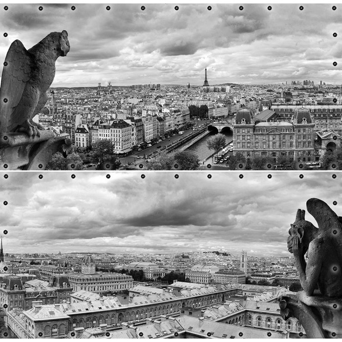 Фотосетка, из двух полотен по 314 × 155 см, с фотопечатью, люверсы шаг 0.3 м, «Вид на Париж» - фото 1 - id-p213433543