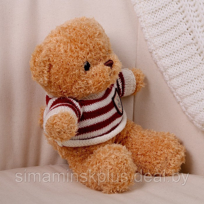 Мягкая игрушка «Медведь» в кофте, 28 см, цвет бежевый - фото 2 - id-p213435984