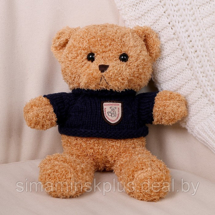 Мягкая игрушка «Медведь» в кофте, 28 см, цвет МИКС - фото 1 - id-p213436003