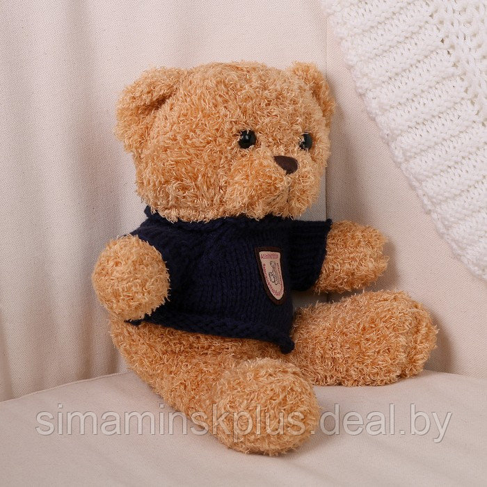 Мягкая игрушка «Медведь» в кофте, 28 см, цвет МИКС - фото 2 - id-p213436003