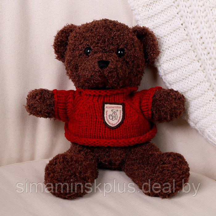 Мягкая игрушка «Медведь» в кофте, 28 см, цвет МИКС - фото 3 - id-p213436003
