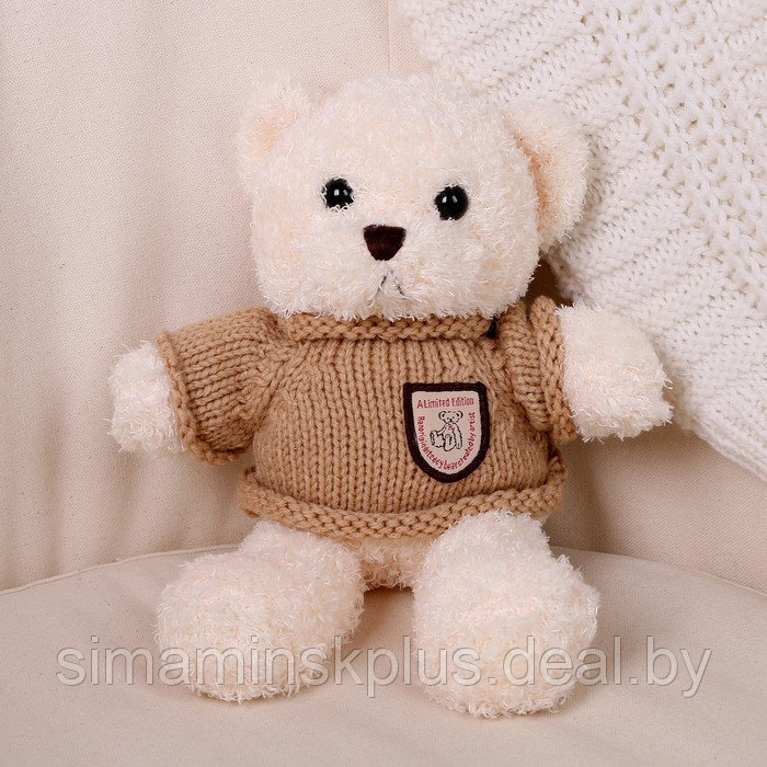 Мягкая игрушка «Медведь» в кофте, 28 см, цвет МИКС - фото 4 - id-p213436003