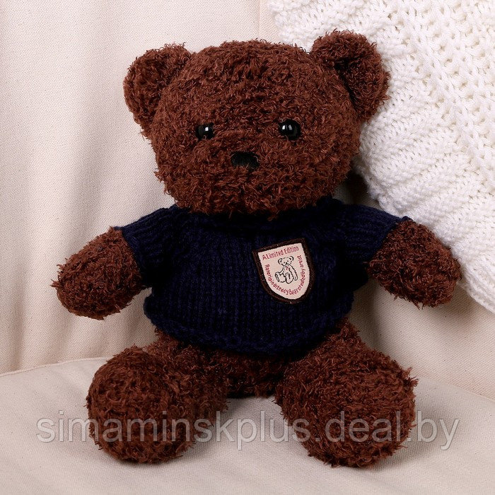 Мягкая игрушка «Медведь» в кофте, 28 см, цвет МИКС - фото 6 - id-p213436003