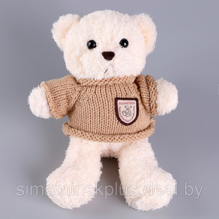 Мягкая игрушка «Медведь» в кофте, 28 см, цвет МИКС - фото 8 - id-p213436003