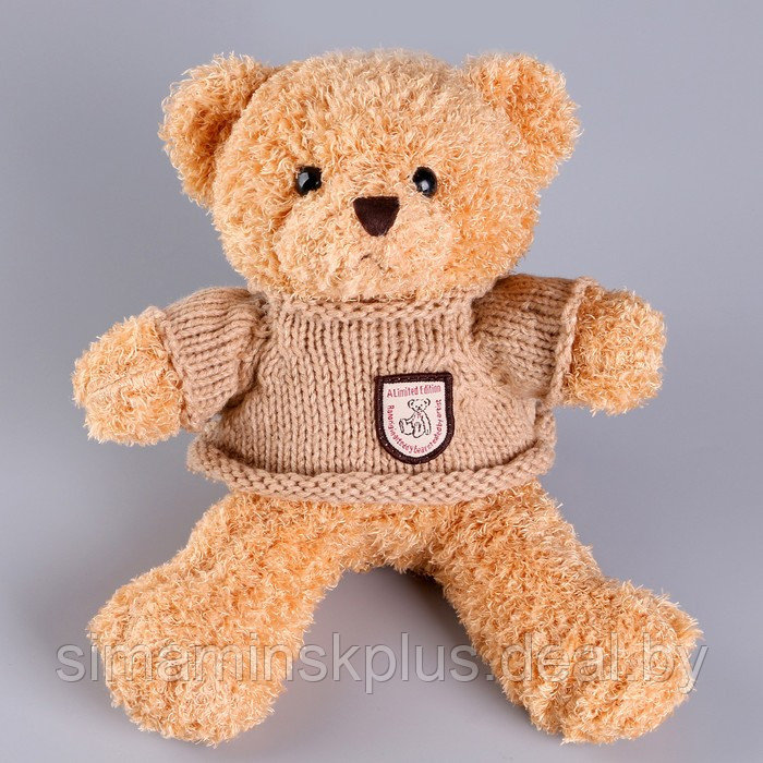 Мягкая игрушка «Медведь» в кофте, 28 см, цвет МИКС - фото 9 - id-p213436003