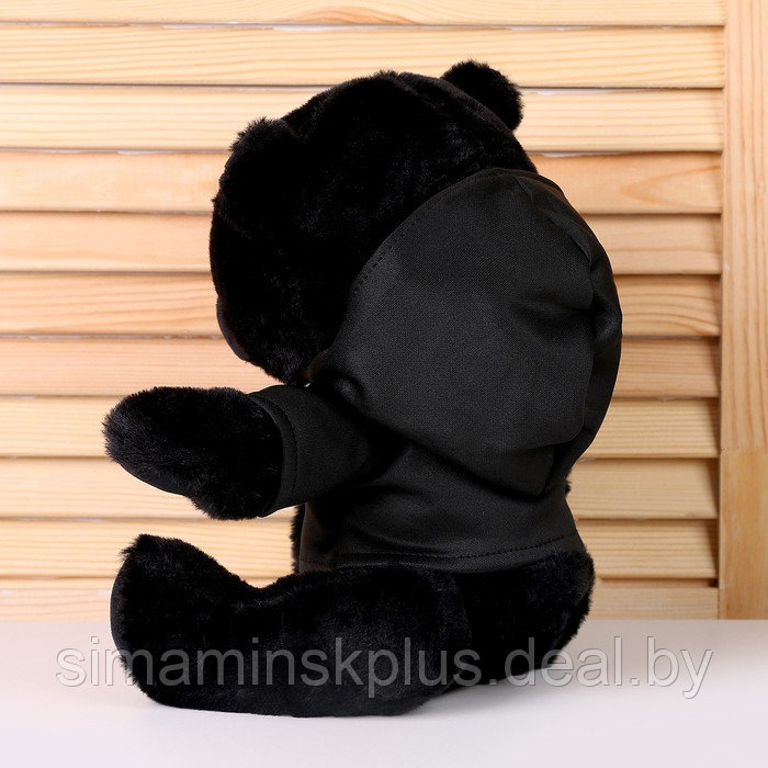 Мягкая игрушка «Чёрный медведь» в кофте, 26 см - фото 4 - id-p213436018