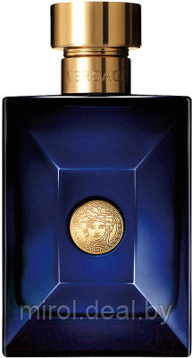 Туалетная вода Versace Dylan Blue Pour Homme - фото 1 - id-p213446084