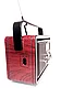Радиоприёмник Golon RX-BT065 FM/AM/SW,USB/SD,Bluetooth, цвет: красный, коричневый, дерево, фото 5