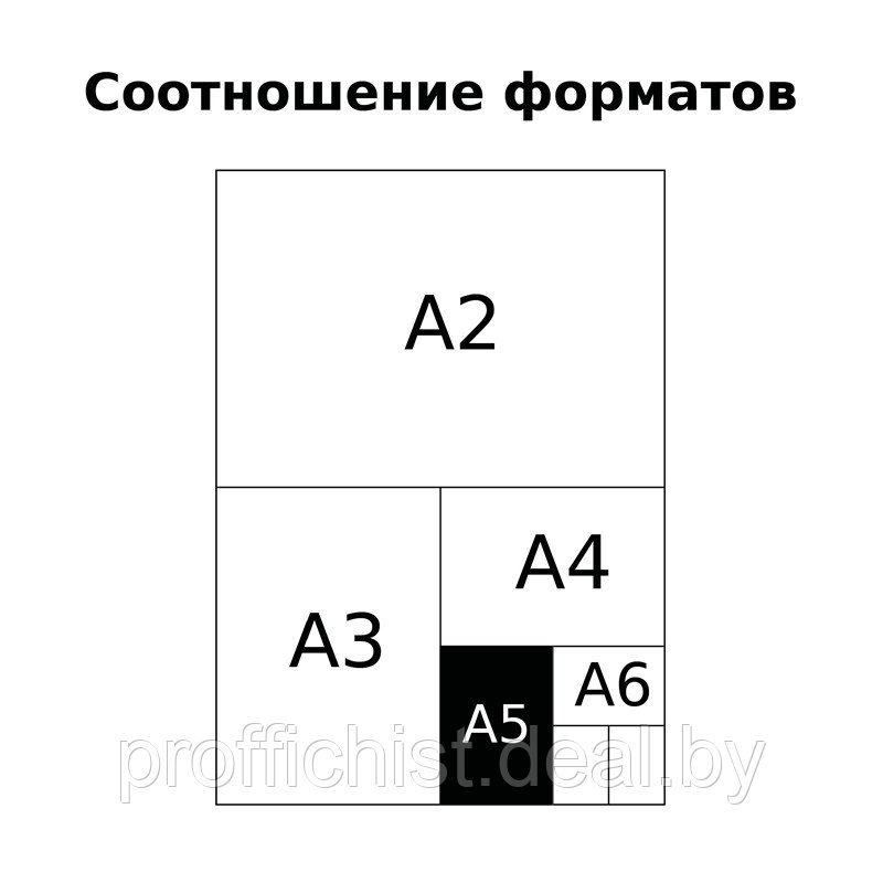 Комплект (12 шт.) предметных тетрадей 48л. BG "Угадай кто", матовая ламинация, выб. лак, пенал Цена без НДС - фото 8 - id-p102630692