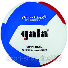 Волейбольный мяч "Gala Pro-Line 12", мяч, профессиональный матчевый волейбольный мяч