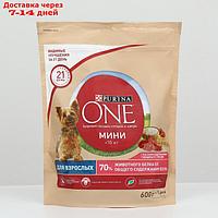 Сухой корм ONE "Моя собака уже взрослая" говядина/рис 600 г