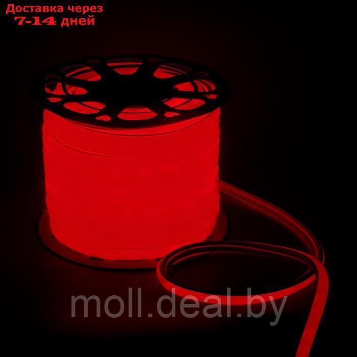 Гибкий неон Luazon Lighting 16 мм D-образный, IP67, 50 м, SMD2835, 120 LED/м, 220 В, свечение красное - фото 1 - id-p213479895