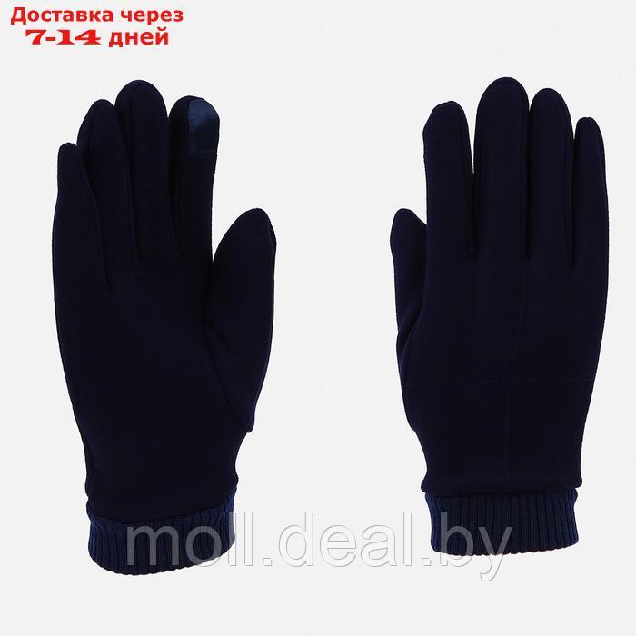 Перчатки мужские, безразмерные, без утеплителя, цвет синий