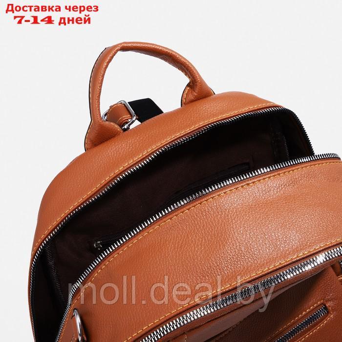 Рюкзак на молнии, 4 наружных кармана, сумка, цвет коричневый - фото 5 - id-p213484766