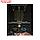 Светильник НБУ 06-60-001 У1 Леда 1, Е27, IP44, 60 Вт, прозрачное стекло, черный, фото 6