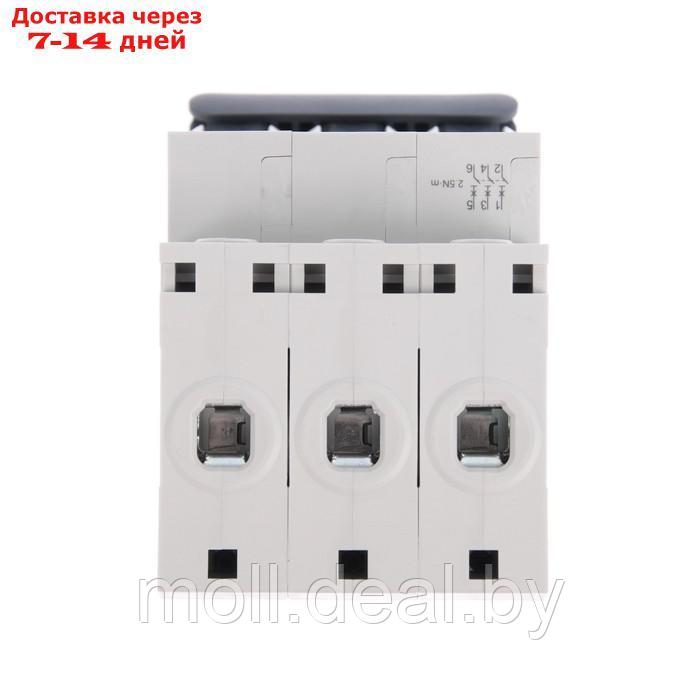 Автоматический выключатель SE City9 Set, B, 25 А, 3P, 4.5 kA, 400 В - фото 4 - id-p213486127