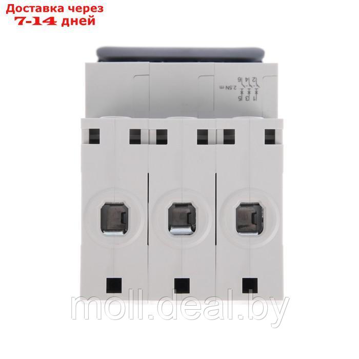 Автоматический выключатель SE City9 Set, B, 6А, 3P, 4.5 kA, 400 В - фото 4 - id-p213486131
