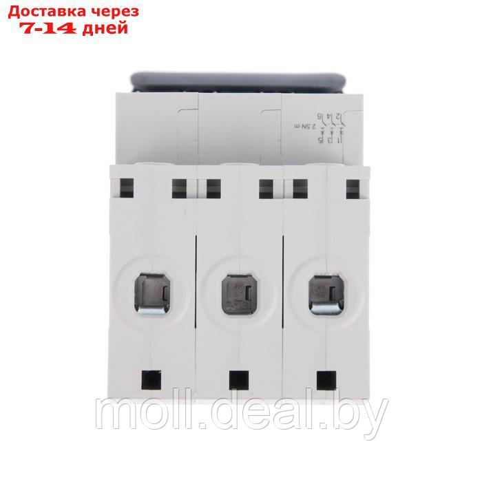 Автоматический выключатель SE City9 Set, B, 10 А, 3P, 4.5 kA, 400 В - фото 4 - id-p213486136