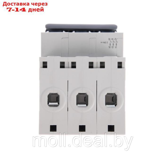 Автоматический выключатель SE City9 Set, B, 16 А, 3P, 4.5 kA, 400 В - фото 4 - id-p213486141