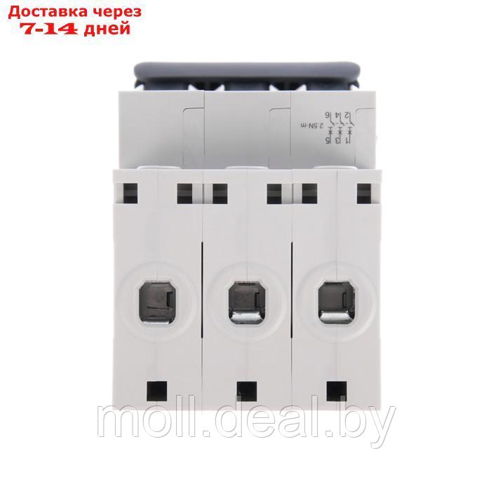 Автоматический выключатель SE City9 Set, B, 20 А, 3P, 4.5 kA, 400 В - фото 4 - id-p213486147