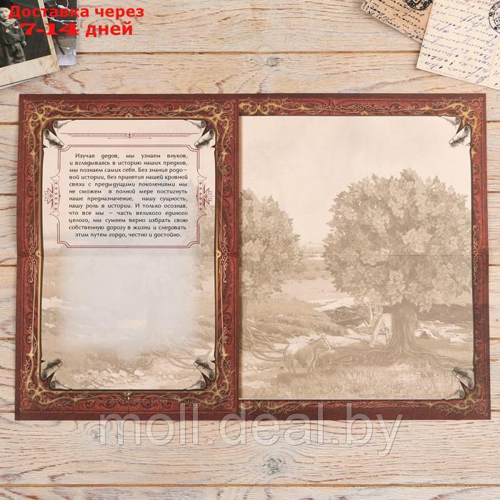 Родословная книга в шкатулке "Древо", 56 листов, набор 3 предмета - фото 5 - id-p213488651
