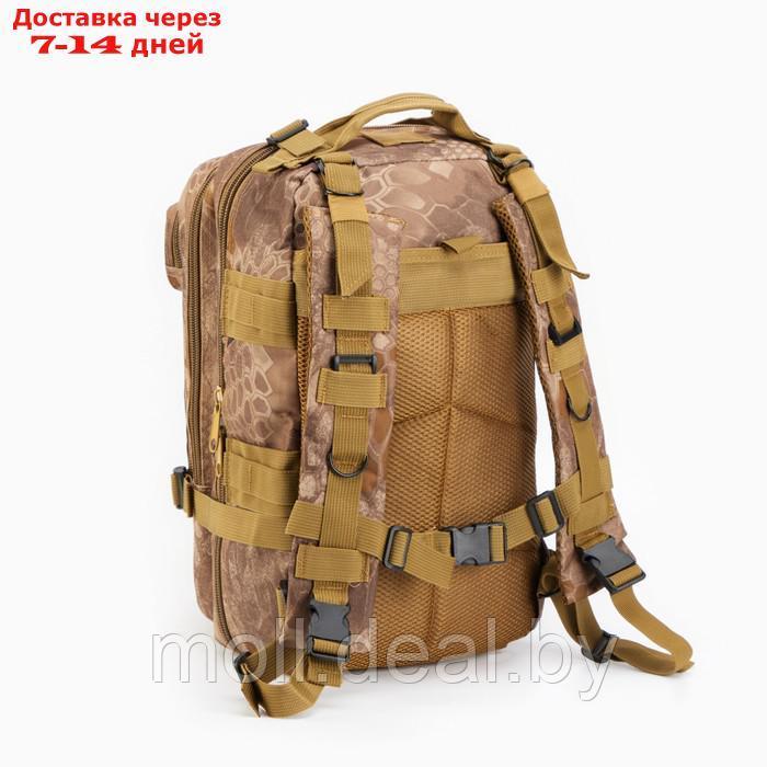 Рюкзак тактический "Аdventure", 26л, камуфляж ящерица, водонепроницаемый - фото 3 - id-p213488692