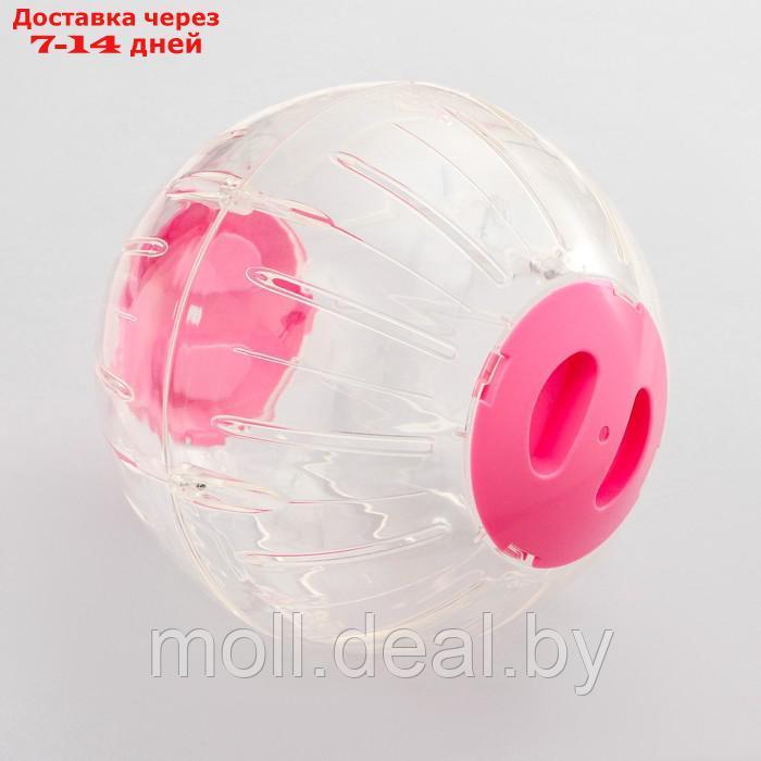 Шар для грызунов Carno, 18,5 см, розовый - фото 1 - id-p213479475