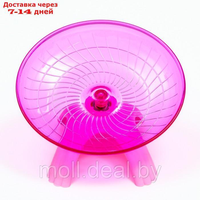 Беговая тарелка Carno для грызунов, 18 х 18 х 11 см, розовая - фото 2 - id-p213479477