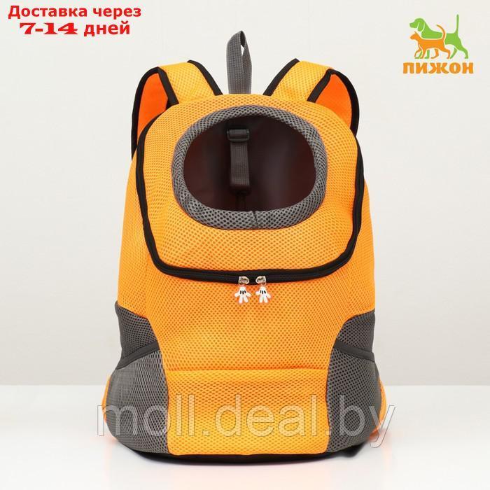 Рюкзак-переноска для животных, максимальный вес 16 кг, 36 х 21 х 45 см, оранжевый - фото 1 - id-p213485423