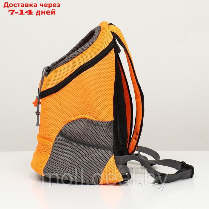 Рюкзак-переноска для животных, максимальный вес 16 кг, 36 х 21 х 45 см, оранжевый - фото 3 - id-p213485423