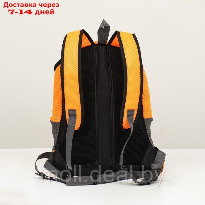 Рюкзак-переноска для животных, максимальный вес 16 кг, 36 х 21 х 45 см, оранжевый - фото 4 - id-p213485423