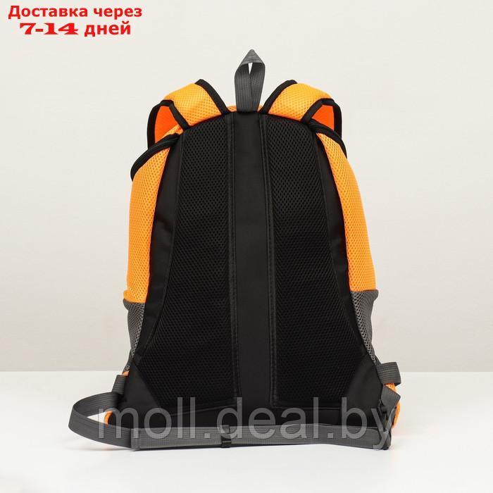 Рюкзак-переноска для животных, максимальный вес 16 кг, 36 х 21 х 45 см, оранжевый - фото 5 - id-p213485423